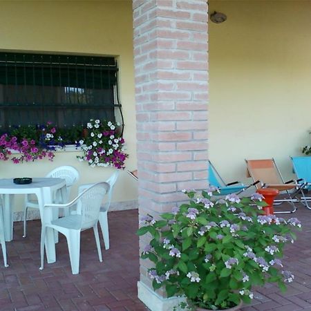 Villa Gioconda Resort Migliarino Zewnętrze zdjęcie